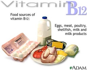 Vitamin B-12 Sources